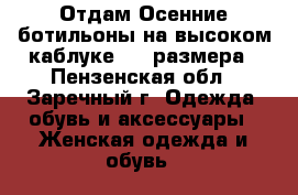 Отдам Осенние ботильоны на высоком каблуке. 35 размера - Пензенская обл., Заречный г. Одежда, обувь и аксессуары » Женская одежда и обувь   